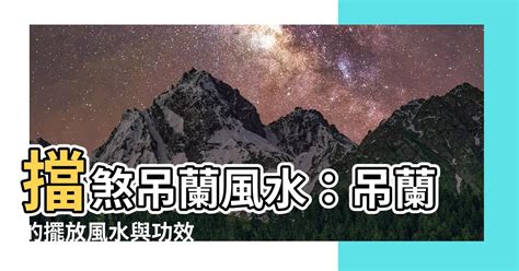 鶴望蘭風水|鶴望蘭的風水禁忌